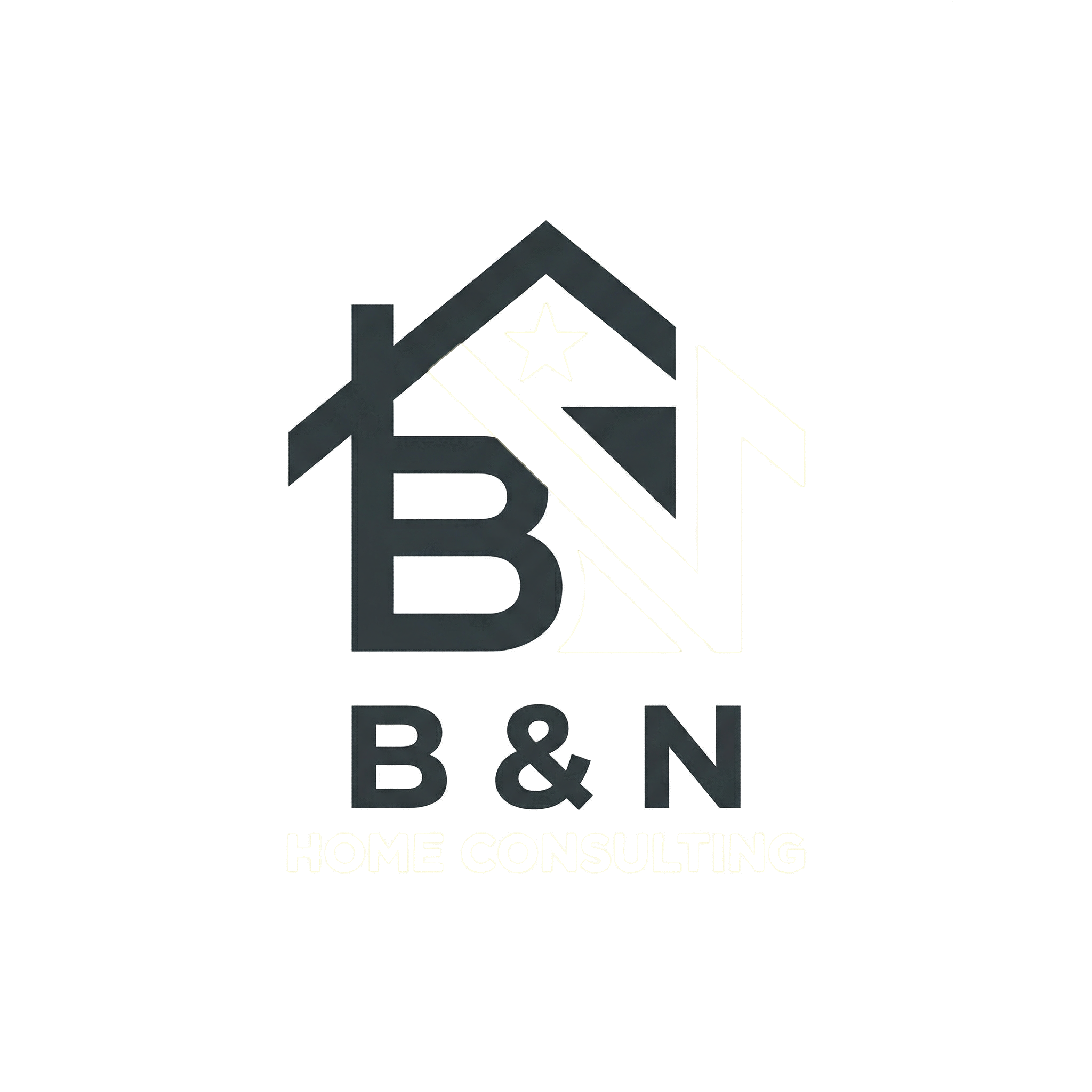 B & N Logo